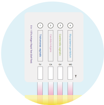 Test Strip Migration - image 1