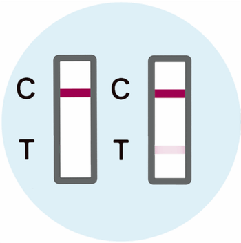 Negative results (< 6% or no T line) - image 1