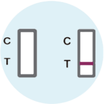 Invalid Results - image 1