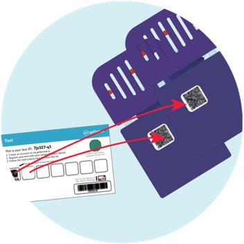Attach Test-ID And Seal - image 1