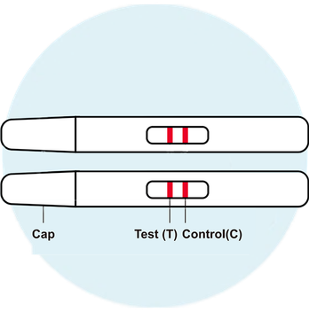 Interpret results. - image 2