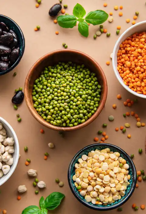 Vegan Protein: Does a Plant-Based Diet Provide Sufficient Protein?