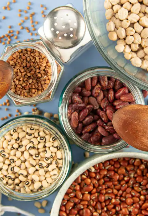 The Best Plant-Based Protein