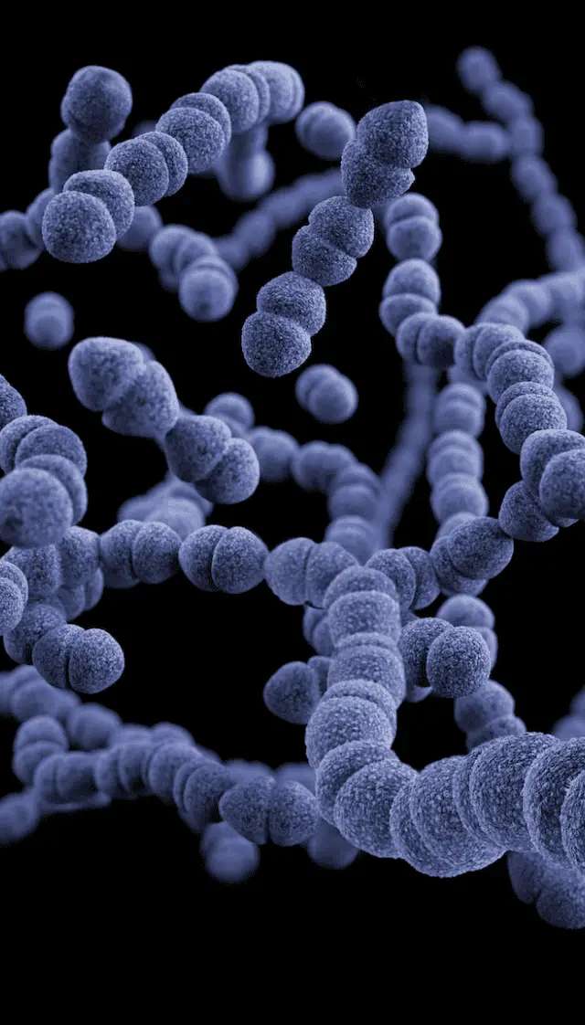How to Improve Your Gut Microbiome