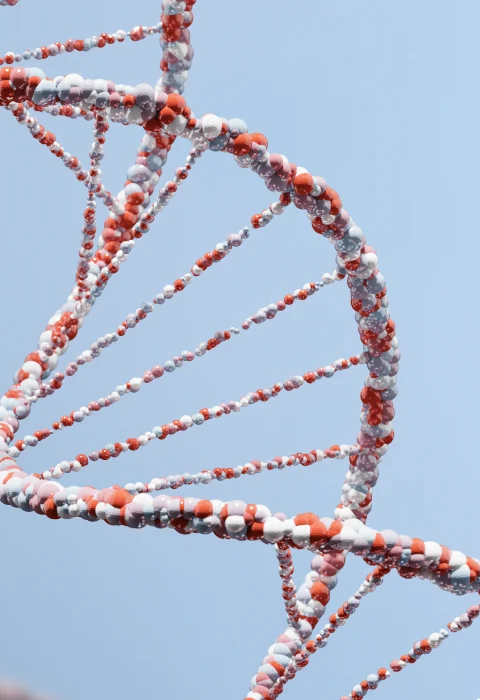 What is DNA Testing?