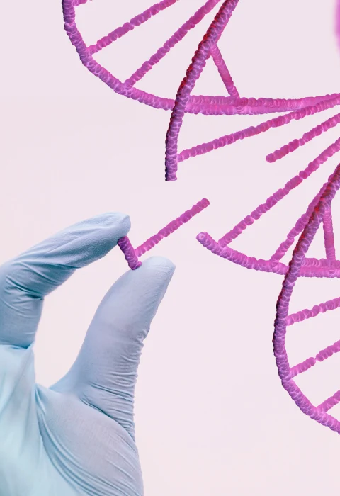 DNA Ancestry Testing – Does It Work?