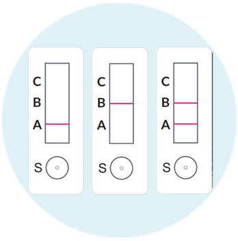 Invalid Results - image 1