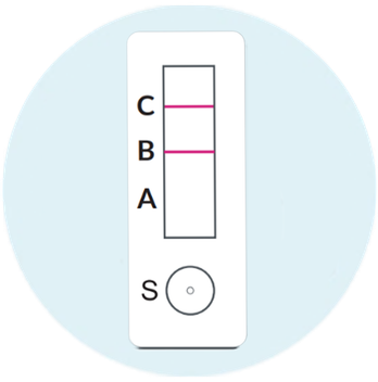 Type B - image 1