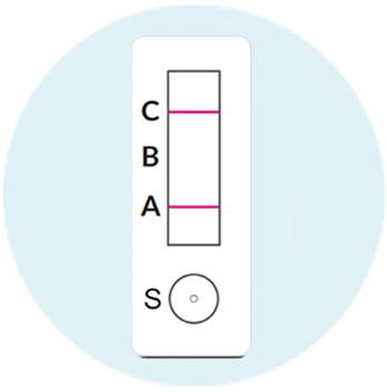 Type A - image 1