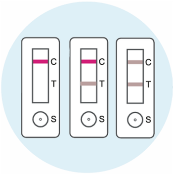 Pregnancy / Positive - image 1