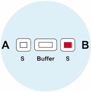 Blood Group B - image 1