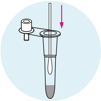 Place The Swab In The Tube - image 1