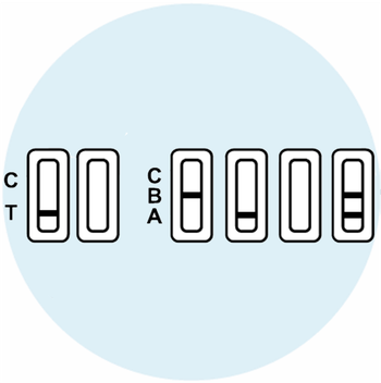 Invalid Resuls - image 1
