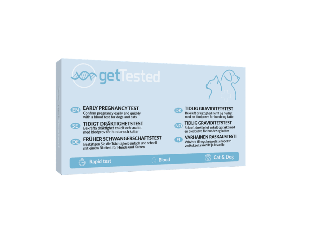 Early Pregnancy Test for Dogs & Cats - Image 1