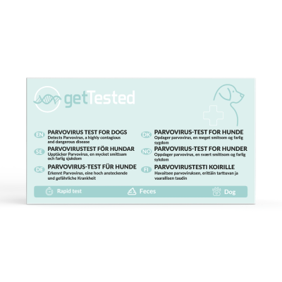 Parvovirus-Test für Hunde