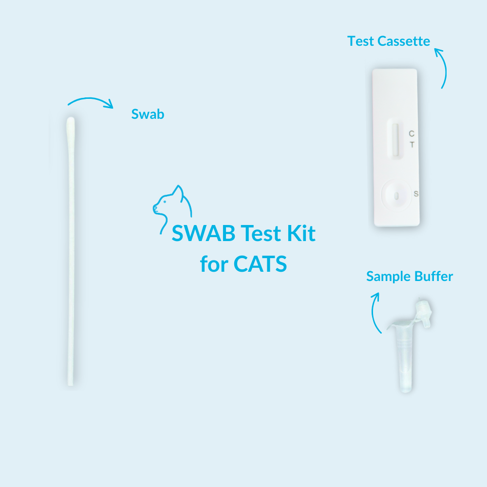 Respiratory Virus (Herpes) Test for Cats - Image 4