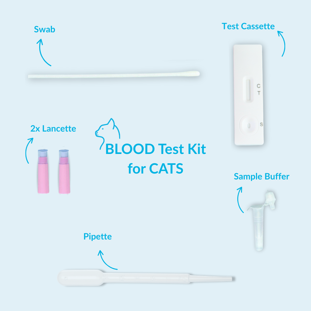 Blood Typing Test For Cats - Image 4