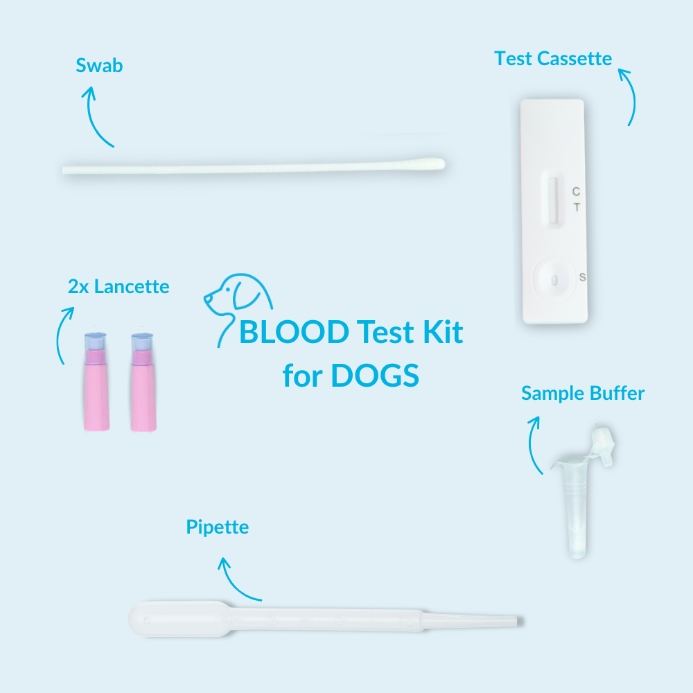 Tick Fever (Ehrlichia Antibody) Test for Dogs - Image 4