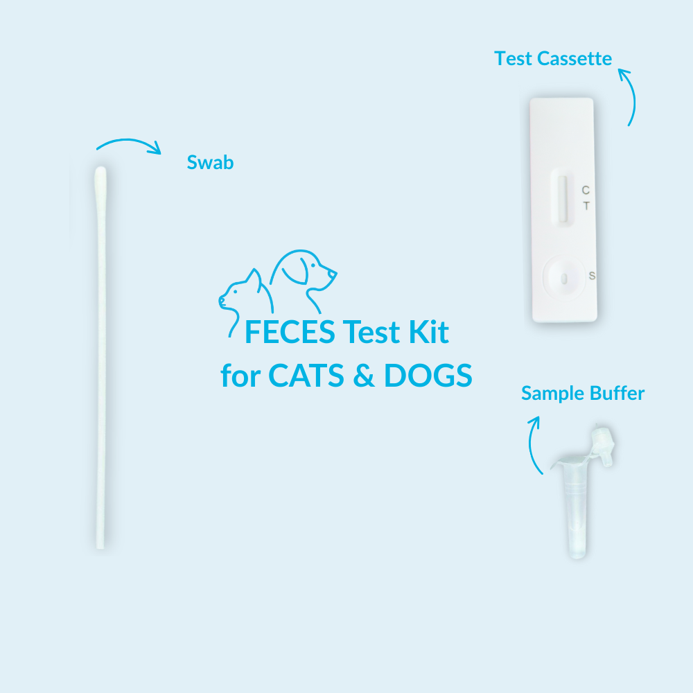 Parasite Infection (Toxoplasma) Test for Dogs/Cats - Image 4