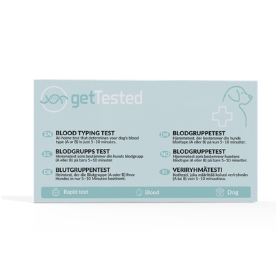 Blutgruppentest für Hunde