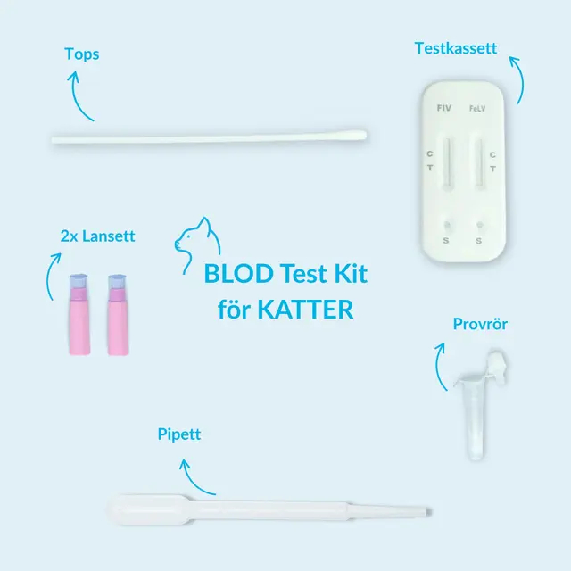FIV- och FeLV-test för katter (immunbrist & leukemi) - Image 4