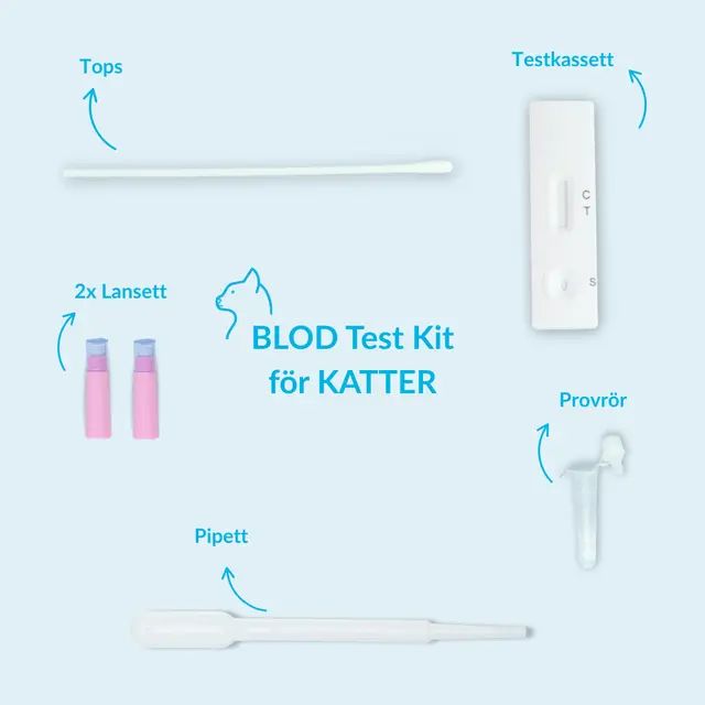Immunbristvirustest för katter (FIV) - Image 4