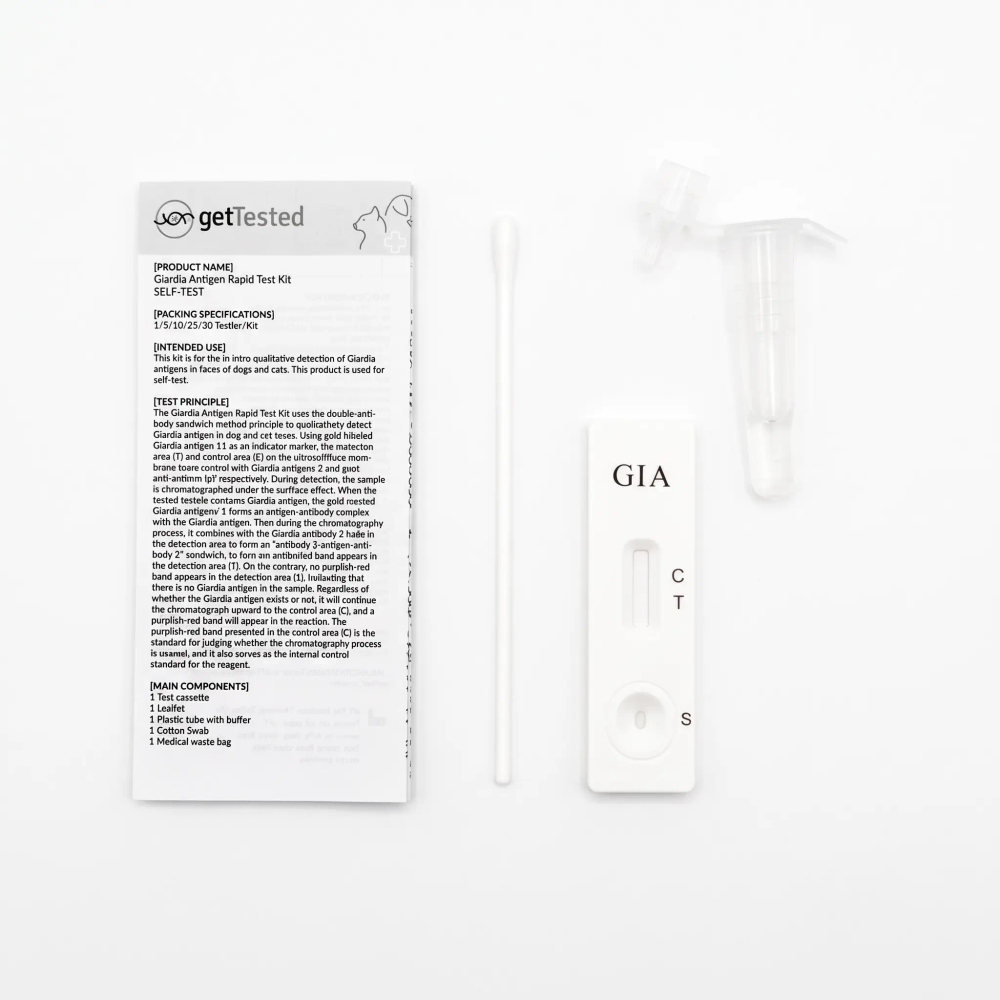 Giardia parasittest för hund och katt - Image 4